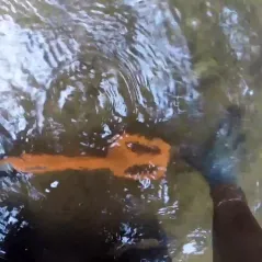 Quest Scuba Tector oranžinis (povandeninis)